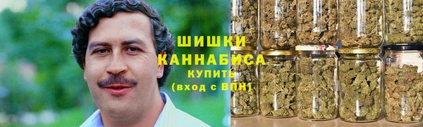 ПСИЛОЦИБИНОВЫЕ ГРИБЫ Алексин