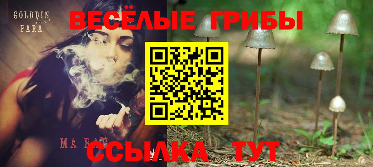 Анапа  Галлюциногенные грибы MAGIC MUSHROOMS  Вход с VPN 